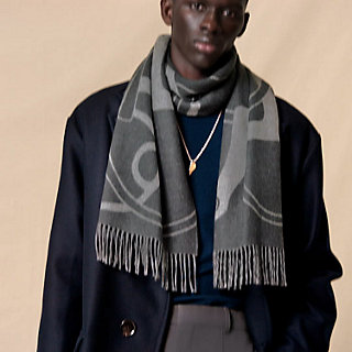 Metal Equestre scarf - Grey | Hermès USA